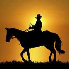 Social Media Cowboys